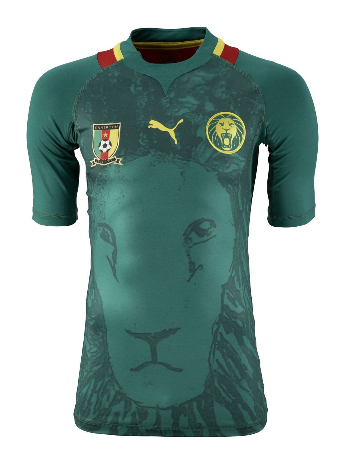 Cameroon 2012 home kit