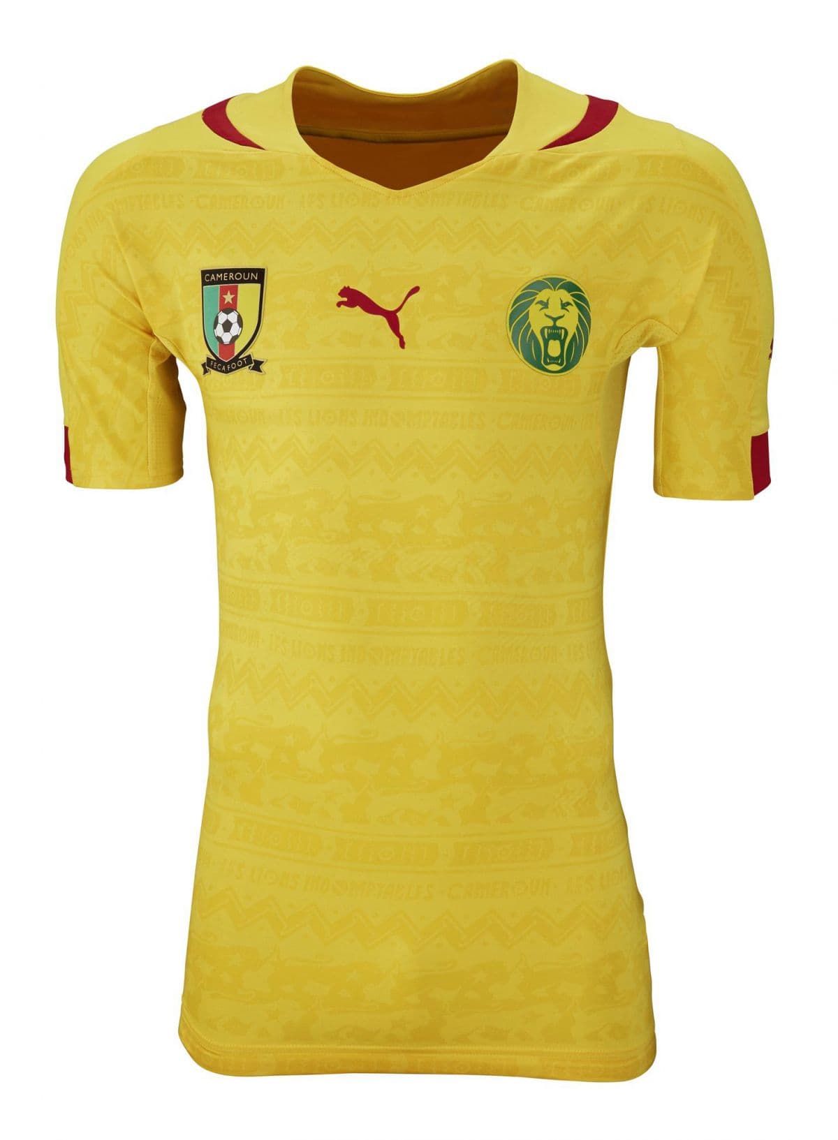 Cameroon 2014 away kit