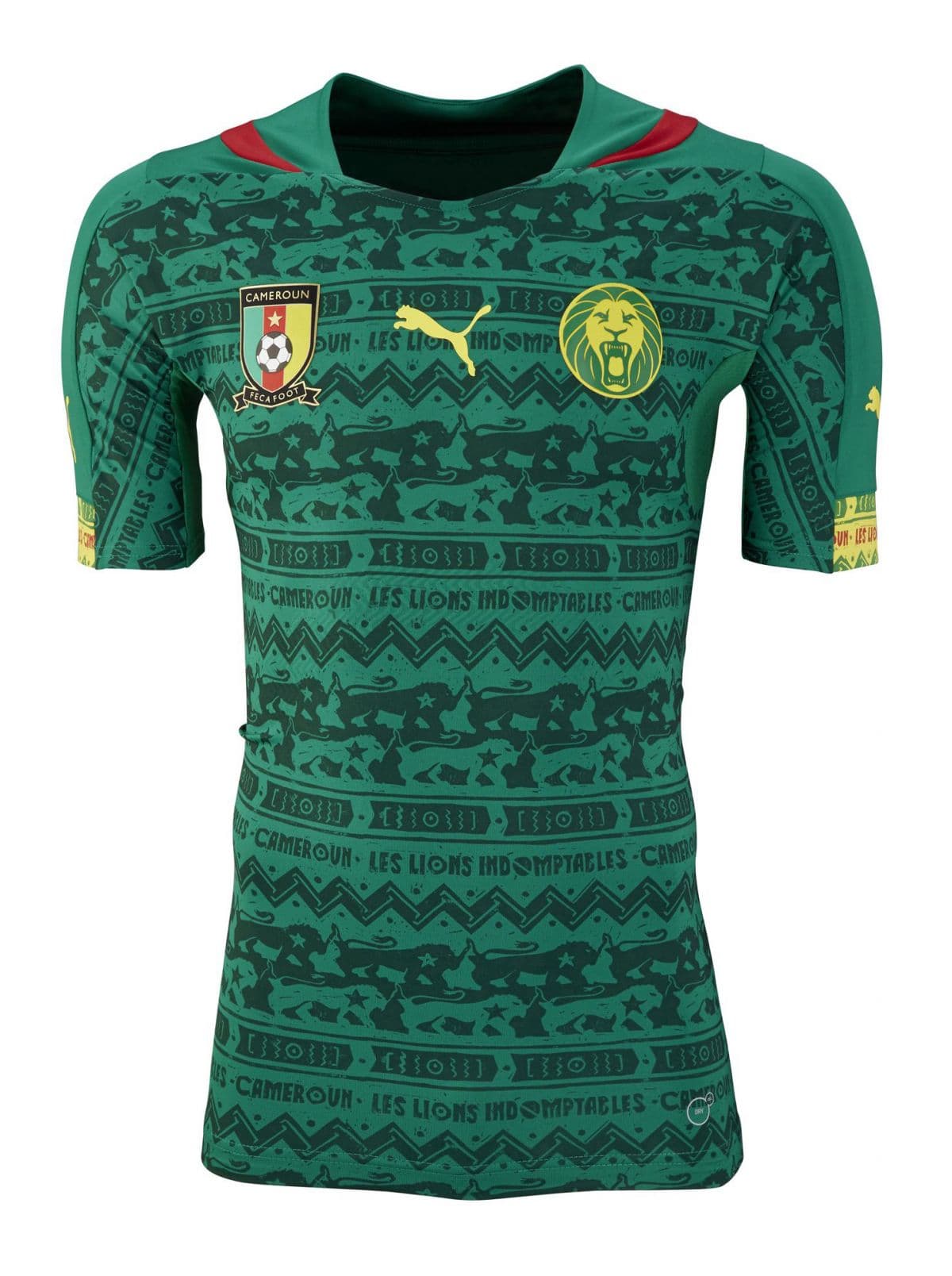 Cameroon 2014 home kit