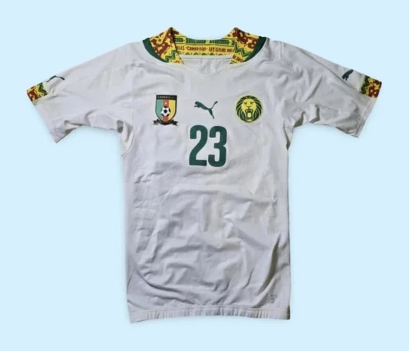 Cameroon 2014 third kit