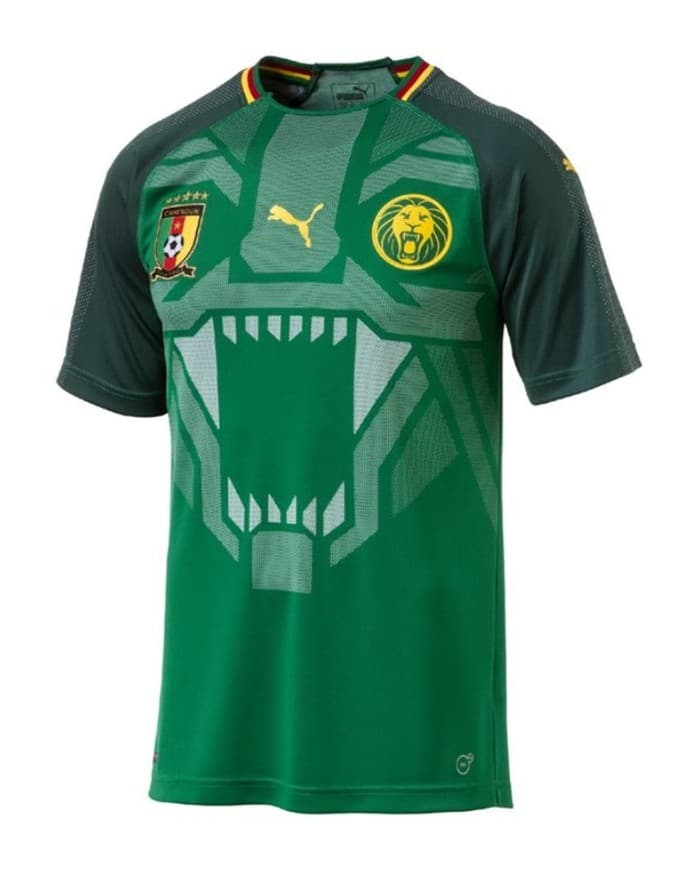 Cameroon 2018 home kit