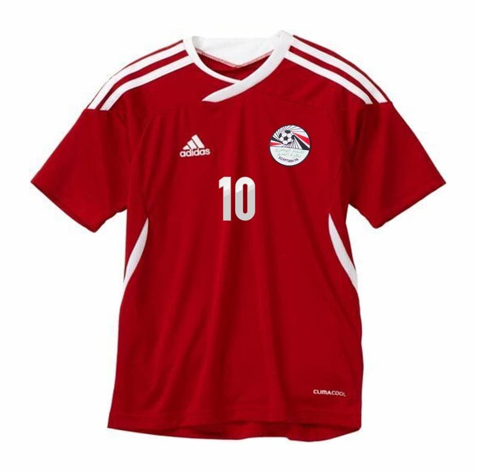 Egypt 2013 home kit