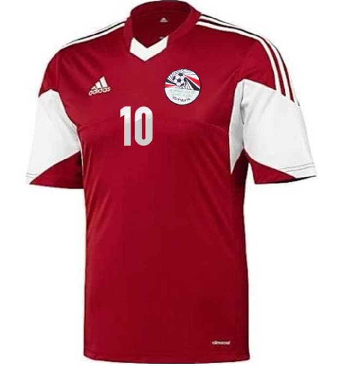 Egypt 2014 home kit