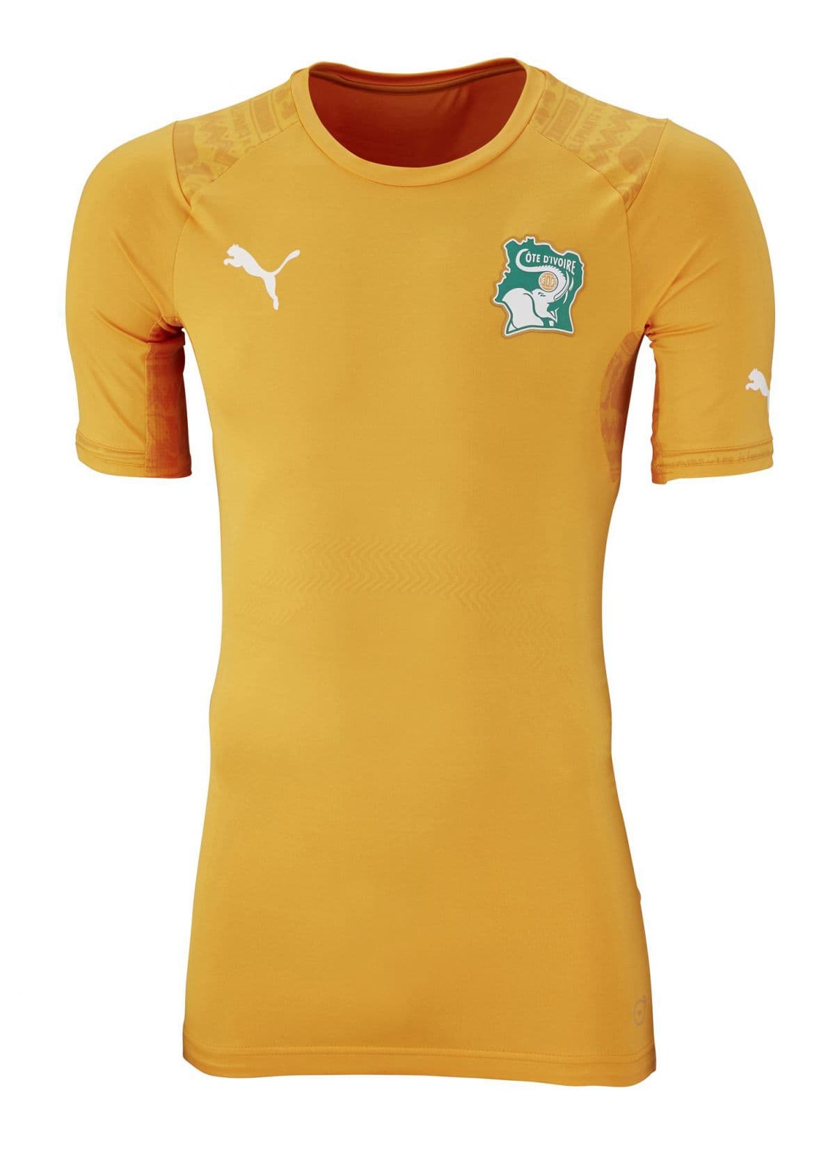 Ivory Coast 2014 home kit