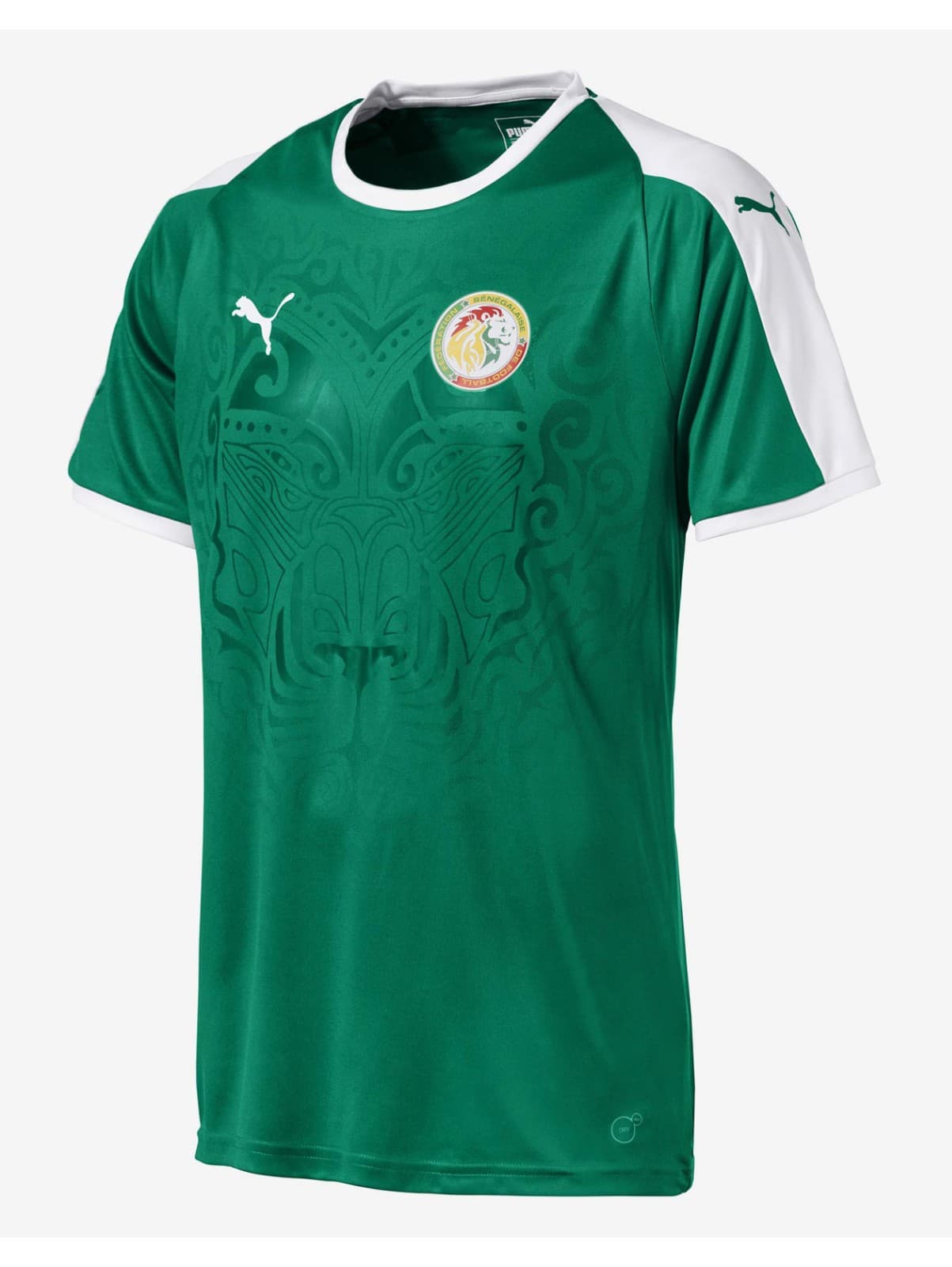 Senegal 2018 away kit