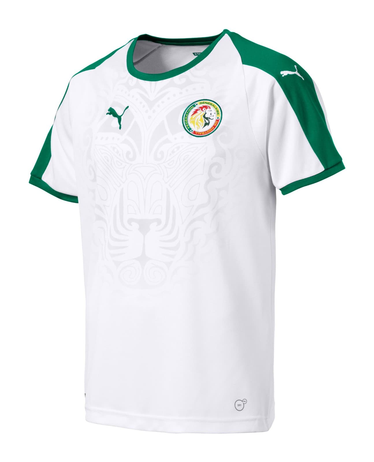Senegal 2018 home kit